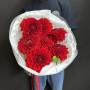 7 красных георгин фото 3
